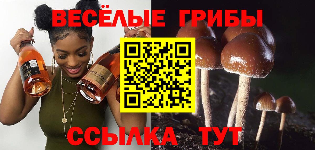 Галлюциногенные грибы GOLDEN TEACHER Усть-Лабинск