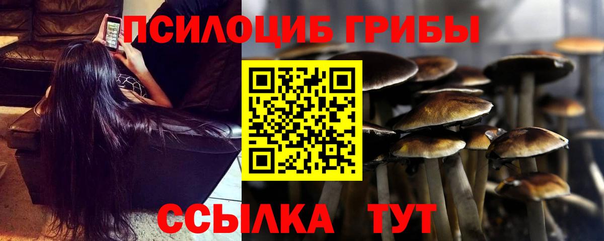 Галлюциногенные грибы MAGIC MUSHROOMS  Вход с VPN  Усть-Лабинск 