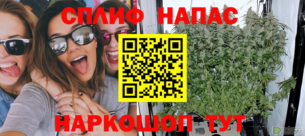 Конопля MAZAR Усть-Лабинск